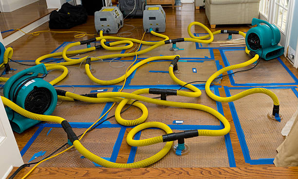 Professional Water Extraction technician working in Los Osos, CA